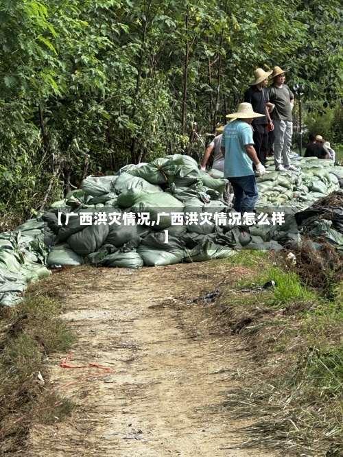 【广西洪灾情况,广西洪灾情况怎么样】