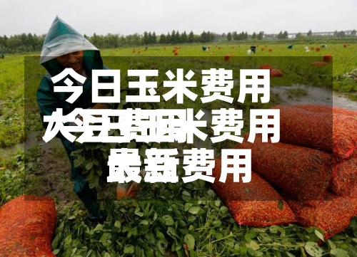 今日玉米费用大豆费用/今日玉米费用大豆费用最新