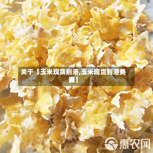 关于【玉米现货到港,玉米现货到港费用表】-第2张图片