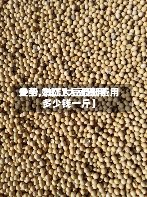 关于【嫩江大豆费用走势,嫩江大豆最新费用多少钱一斤】