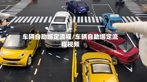 车辆自助绑定流程/车辆自助绑定流程视频-第2张图片