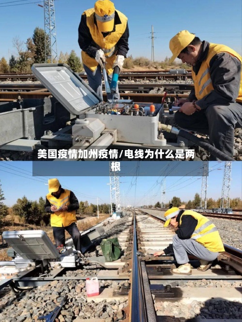 美国疫情加州疫情/电线为什么是两根