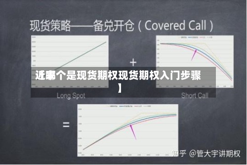 近来【哪个是现货期权现货期权入门步骤】