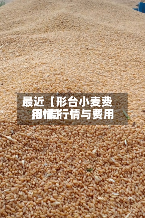 最近【形台小麦费用,小麦行情与费用行情】-第3张图片