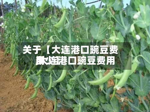 关于【大连港口豌豆费用,大连港口豌豆费用多少】-第2张图片