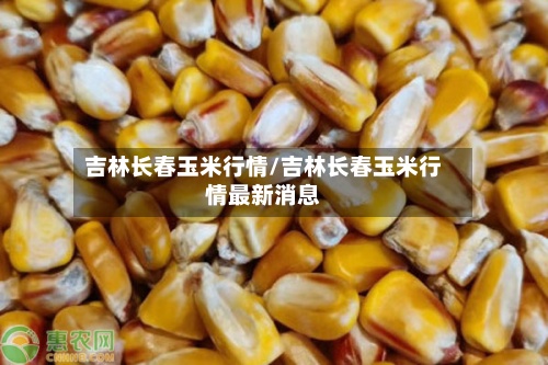 吉林长春玉米行情/吉林长春玉米行情最新消息-第2张图片
