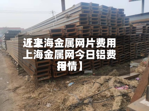 近来【上海金属网片费用上海金属网今日铝费用行情】-第2张图片