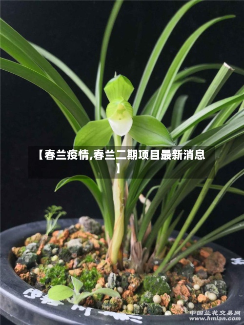 【春兰疫情,春兰二期项目最新消息】