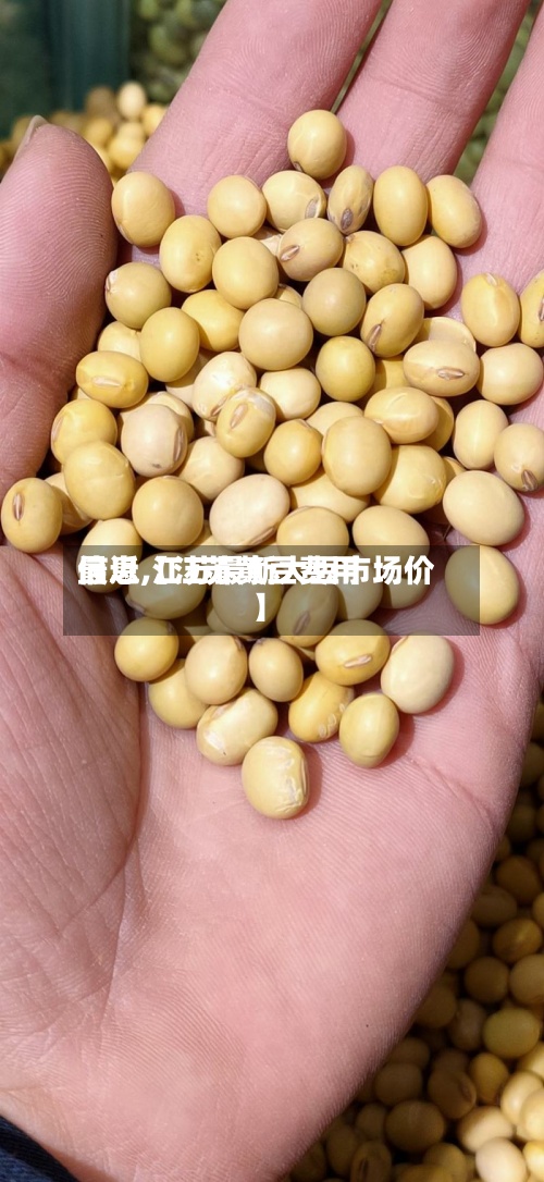 最近【江苏黄豆费用信息,江苏最新大豆市场价】