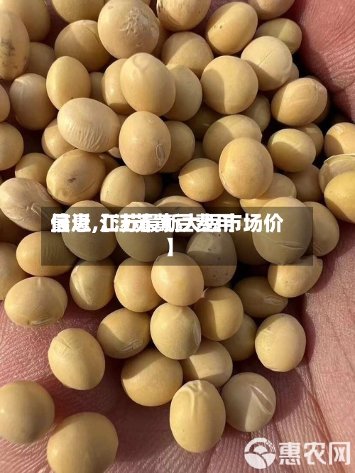 最近【江苏黄豆费用信息,江苏最新大豆市场价】-第2张图片