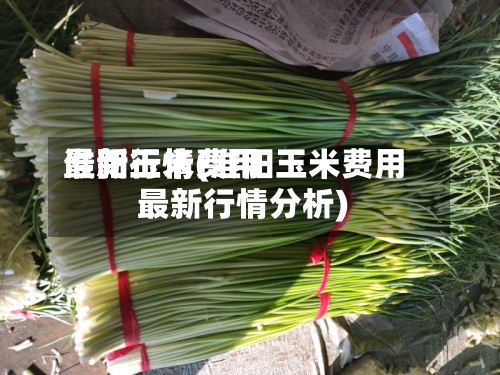 淮阳玉米费用最新行情(淮阳玉米费用最新行情分析)