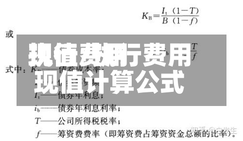 执行费用现值/执行费用现值计算公式-第2张图片