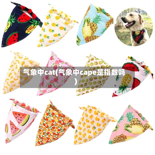 气象中cat(气象中cape是指数吗)