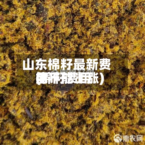 山东棉籽最新费用(棉籽费用能不能上涨)