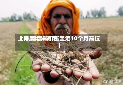 【印度大米费用上升,印度米价涨至近10个月高位】-第2张图片