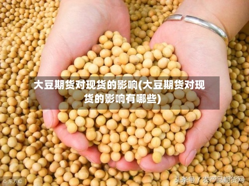 大豆期货对现货的影响(大豆期货对现货的影响有哪些)-第2张图片