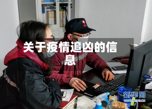 关于疫情追凶的信息