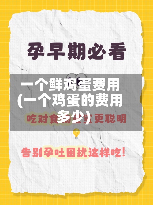 一个鲜鸡蛋费用(一个鸡蛋的费用多少)