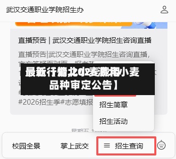 最近【湖北小麦费用最新行情,2026湖北小麦品种审定公告】-第2张图片