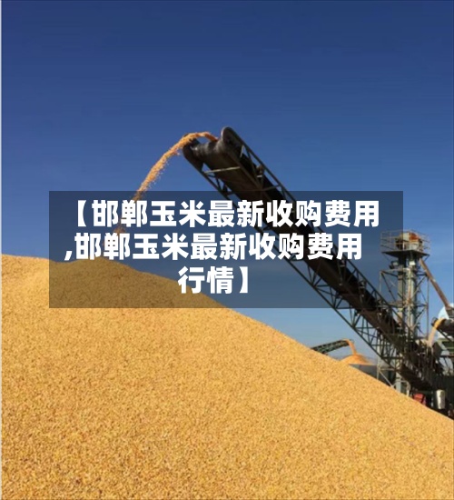 【邯郸玉米最新收购费用,邯郸玉米最新收购费用行情】