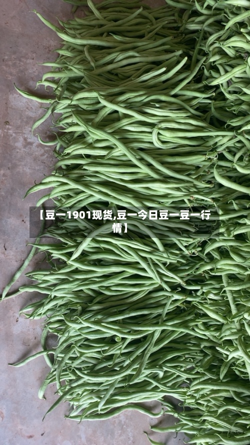 【豆一1901现货,豆一今日豆一豆一行情】