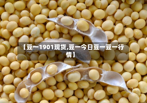 【豆一1901现货,豆一今日豆一豆一行情】-第2张图片