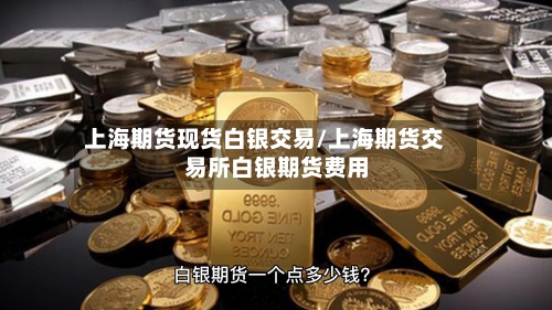 上海期货现货白银交易/上海期货交易所白银期货费用-第2张图片