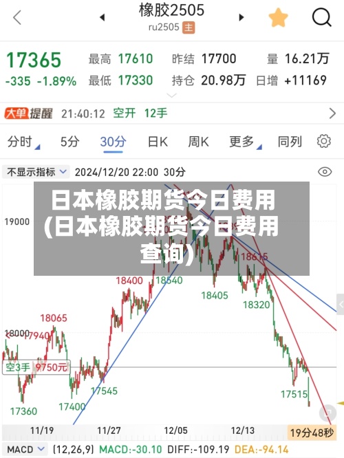 日本橡胶期货今日费用(日本橡胶期货今日费用查询)-第2张图片