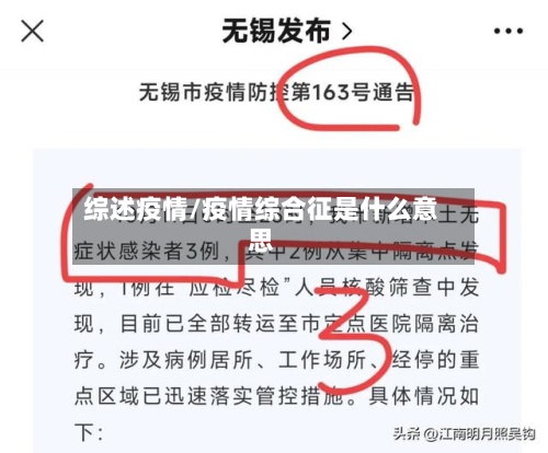 综述疫情/疫情综合征是什么意思