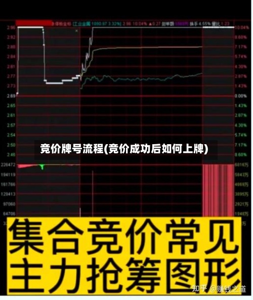 竞价牌号流程(竞价成功后如何上牌)