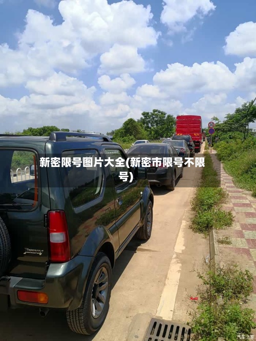 新密限号图片大全(新密市限号不限号)
