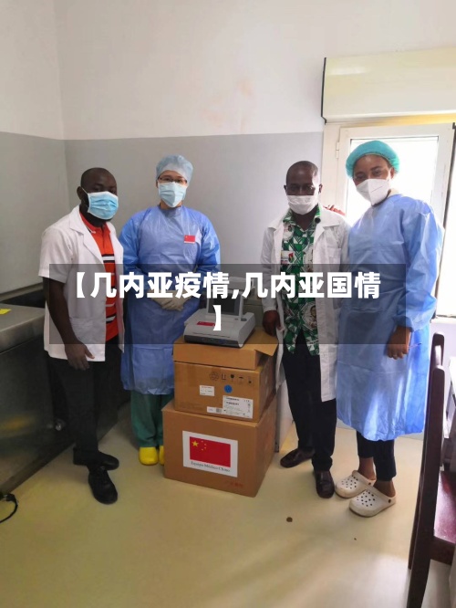 【几内亚疫情,几内亚国情】-第2张图片