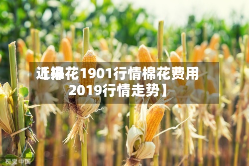 近来【棉花1901行情棉花费用2019行情走势】-第3张图片