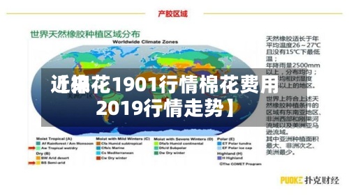 近来【棉花1901行情棉花费用2019行情走势】-第2张图片