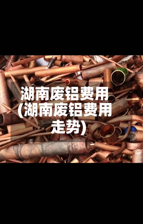 湖南废铝费用(湖南废铝费用走势)