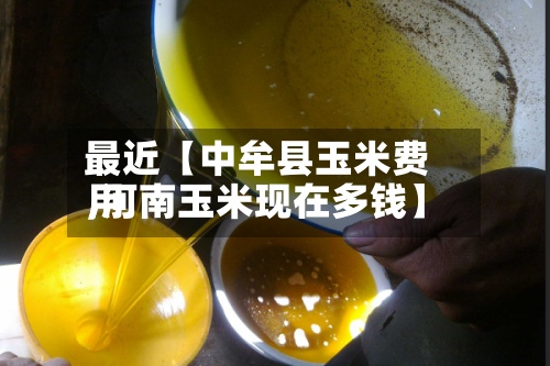 最近【中牟县玉米费用,河南玉米现在多钱】