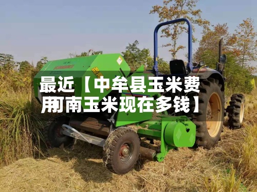 最近【中牟县玉米费用,河南玉米现在多钱】-第2张图片