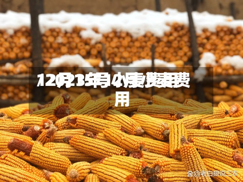 12月15号小麦费用/2023年12月小麦费用
