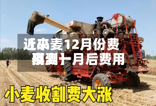 近来【小麦12月份费用小麦一月后费用预测】-第3张图片
