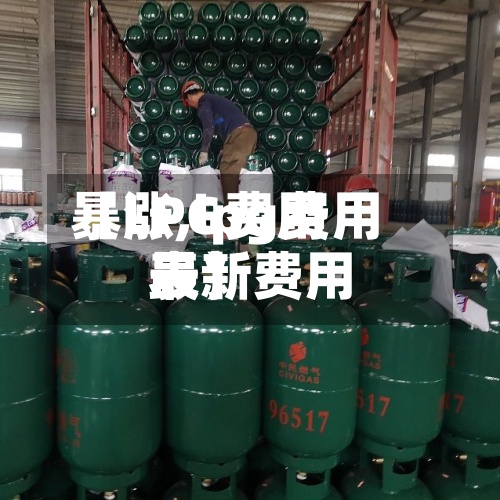 【LPG费用暴涨,lpg费用最新费用表】-第2张图片