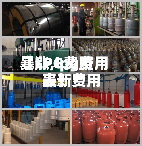 【LPG费用暴涨,lpg费用最新费用表】