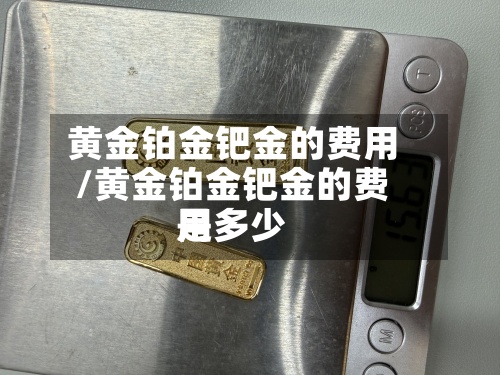 黄金铂金钯金的费用/黄金铂金钯金的费用是多少-第2张图片
