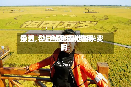 最近【鲅鱼圈玉米费用今日,今日鲅鱼圈港玉米费用】-第2张图片