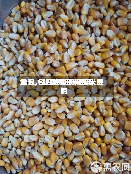 最近【鲅鱼圈玉米费用今日,今日鲅鱼圈港玉米费用】-第3张图片