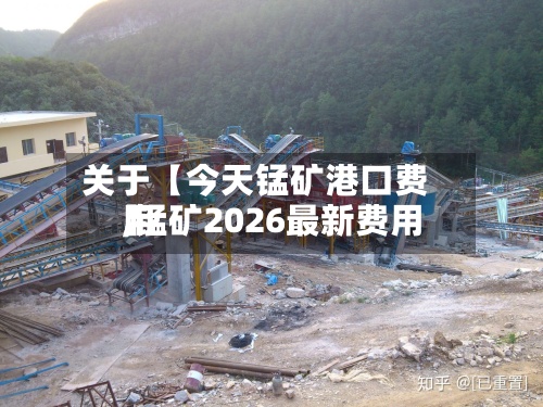 关于【今天锰矿港口费用,锰矿2026最新费用】-第2张图片