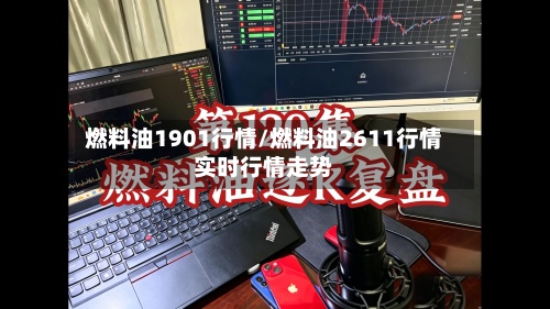 燃料油1901行情/燃料油2611行情实时行情走势-第2张图片