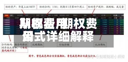 期权费用从哪看/期权费用公式详细解释-第3张图片