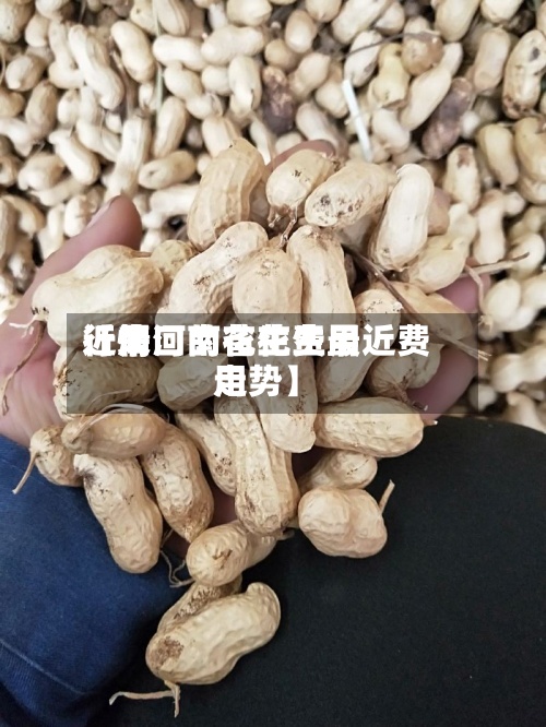 近来【周口的花生费用行情河南省花生最近费用走势】-第2张图片