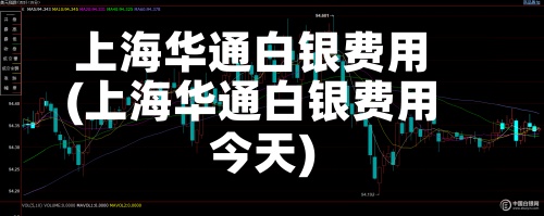 上海华通白银费用(上海华通白银费用今天)-第2张图片
