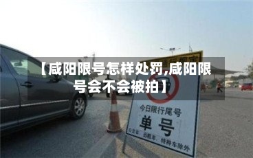 【咸阳限号怎样处罚,咸阳限号会不会被拍】-第3张图片